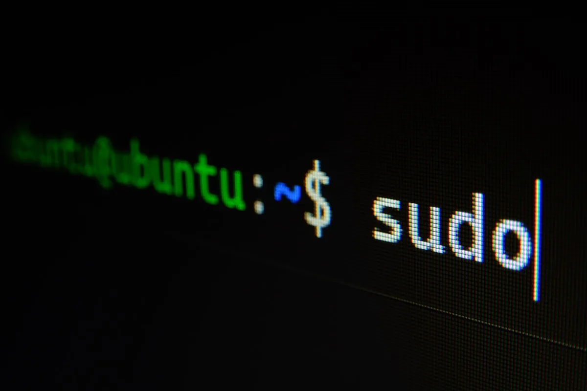 Ubuntu Linux terminal showing a sudo command prompt